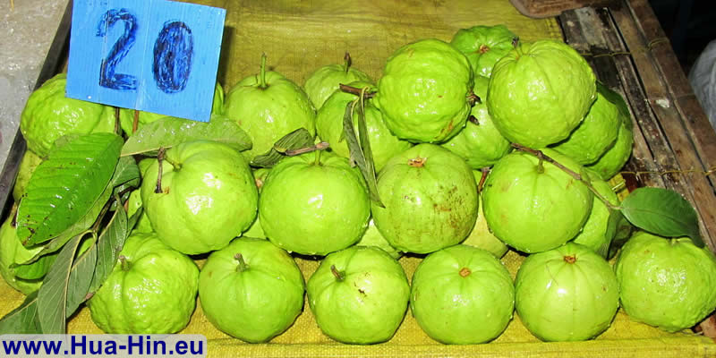 Guave oder Farang Frucht