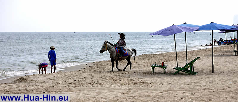 Horse riding beach of Cha-Am