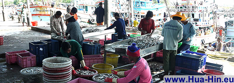 fishing port of Cha-Am is busy