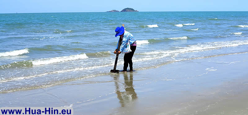 Mussel seeker at Suan Son beach